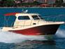 Picture of Motor Boat damor 800 produced by damor