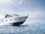 Picture of Motor Boat sealine sc35 produced by sealine