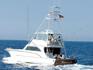 Picture of Motor Boat horizon 52 produced by horizon