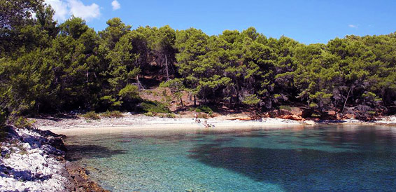 Scedro Island, cruising region Central Dalmatia